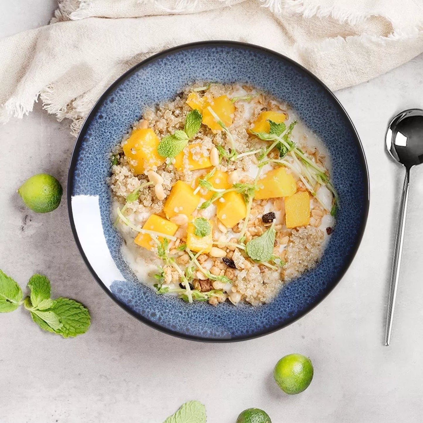 Ceramic steak plate set of 6 for versatile dining, dishwasher and microwave safe