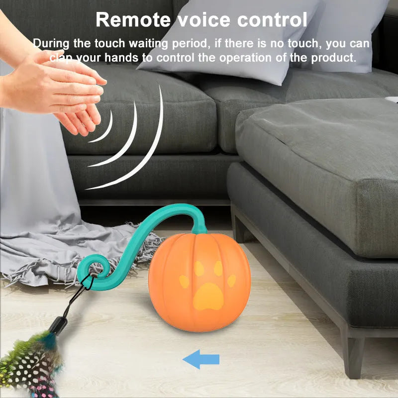 Electric cat teasing ball with automatic rolling motion and flashing LED lights in plastic construction