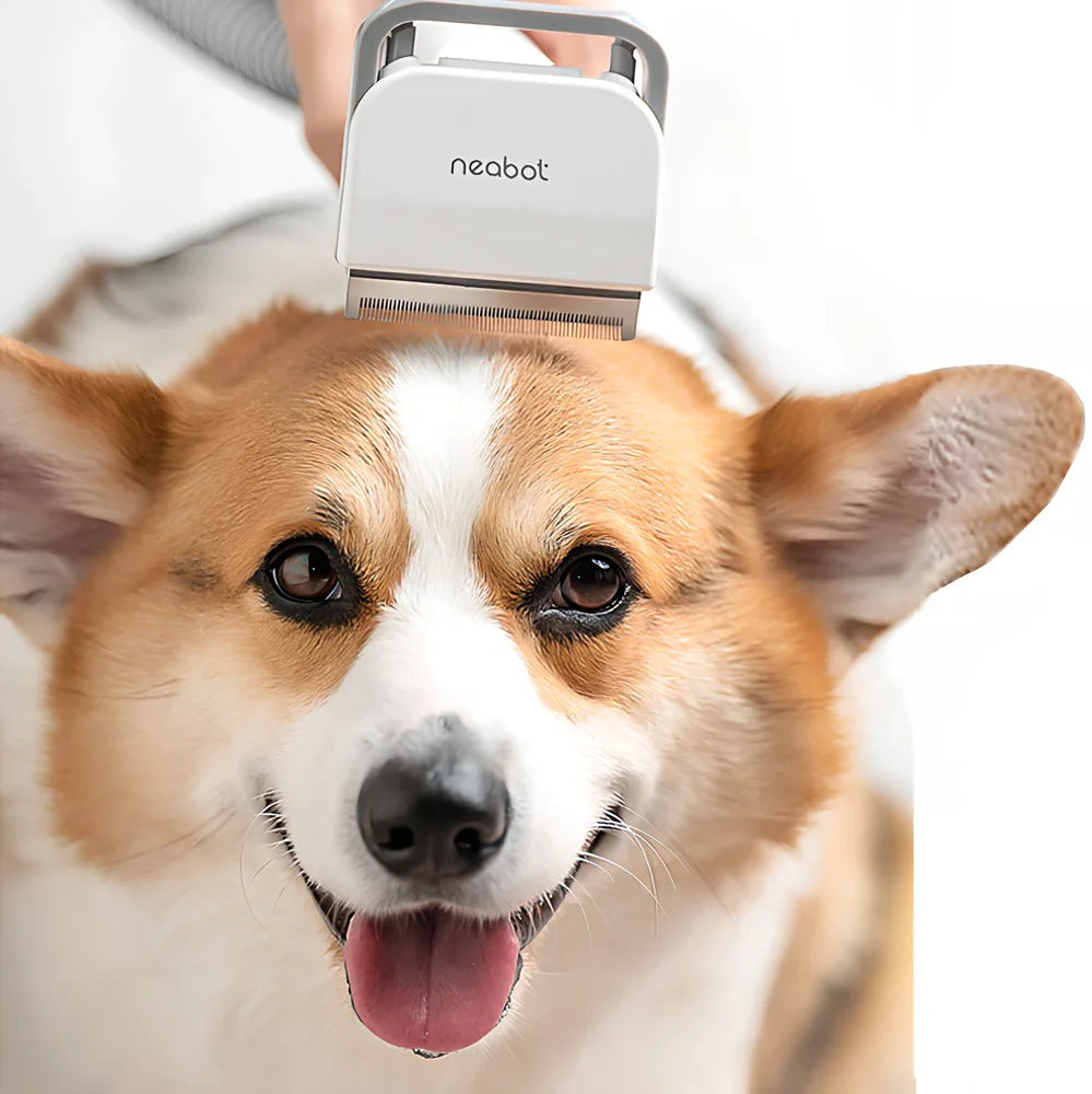 Pet grooming device with comb and shave functions, 290mm length with multiple attachments