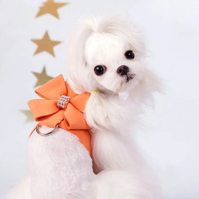 Puppy wearing a pink microfiber chest strap with a bowknot, adjustable in sizes S, M, L, XL