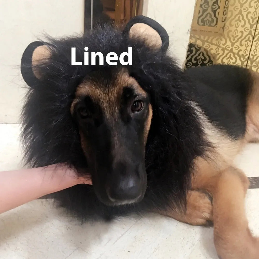 Dog wearing adjustable lion headdress costume with elastic neckband in light brown colour