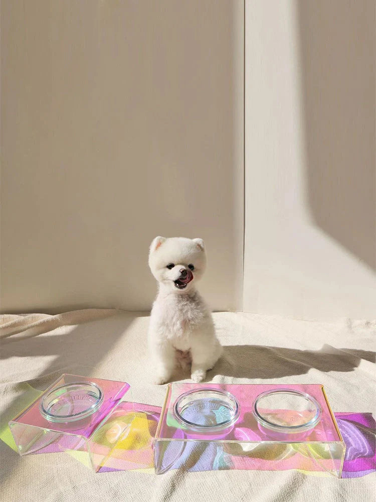 Dazzling holographic acrylic pet bowl for small dogs and cats with anti-slip base