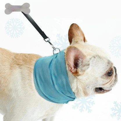 Blue instant cooling pet bandana for dogs, perfect for summer heat relief