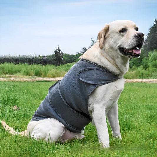 Dog wearing brocade cotton tank top for anxiety relief in brown colour
