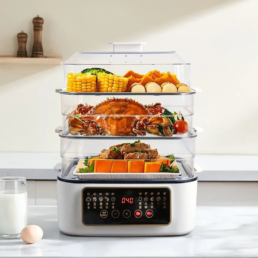 Electric steamer with stainless steel rack, 10-litre capacity, and 800W power for household use