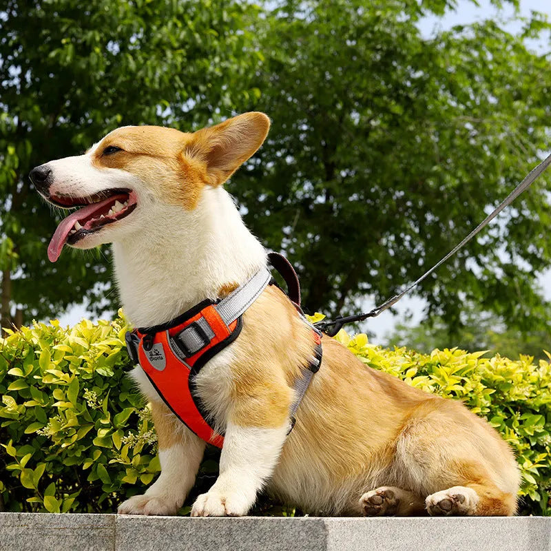 Polyester dog vest harness with hand-holding rope attachment in multiple colour options