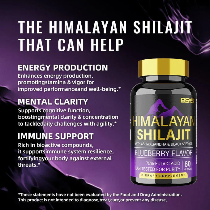 BSYS Shilajit Gummies 60 Count - Delicious Natural Energy Supplement