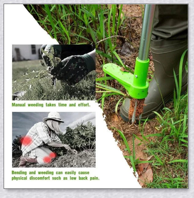 The Standing Plant Root Remover - an innovative gardening tool with a long handle and 3-pronged design for easy, backache-free weed removal