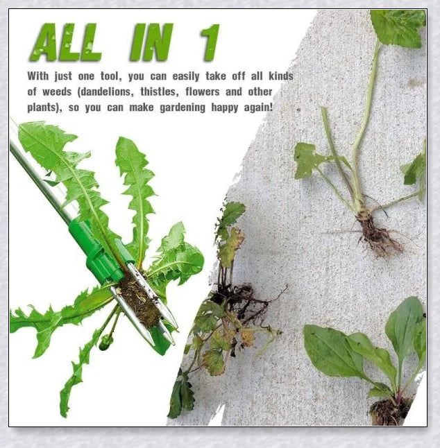 The Standing Plant Root Remover - an innovative gardening tool with a long handle and 3-pronged design for easy, backache-free weed removal