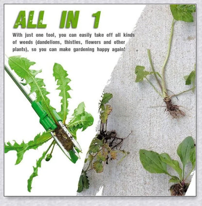 The Standing Plant Root Remover - an innovative gardening tool with a long handle and 3-pronged design for easy, backache-free weed removal
