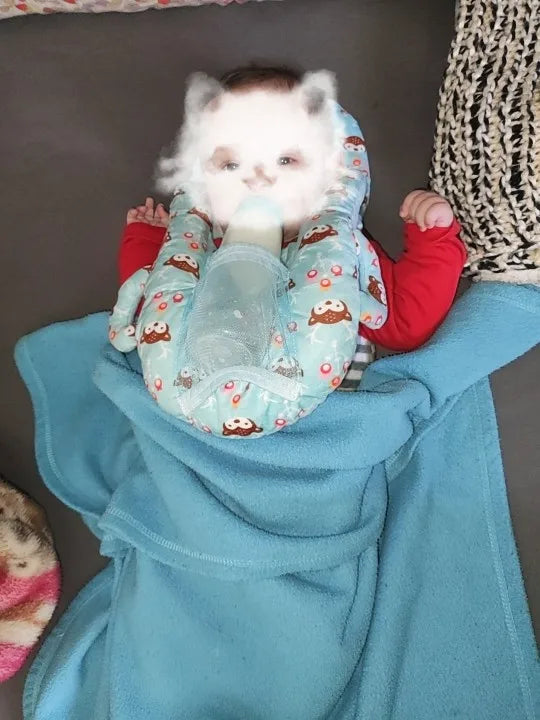 Nursing Cushion - Baby Feeding Pillow with bottle holder and neck support for comfortable, hands-free feeding