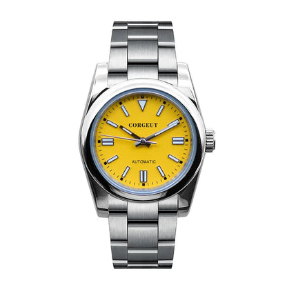 A stainless steel watch with luminous hands and indices, showcasing a sleek and sophisticated design.