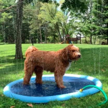 Dog Splash Sprinkler Pad - A fun and safe outdoor water toy for dogs and kids to enjoy during the summer