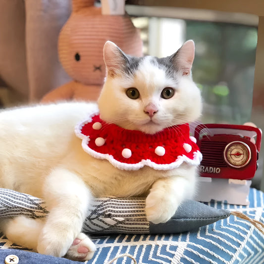Cartoon-patterned knitted wool collar for small pets with size chart showing XS, S, M, L measurements