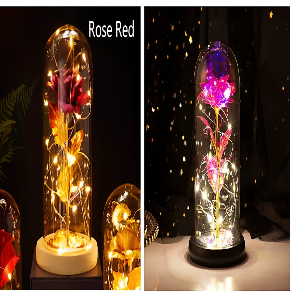 Little Prince rose arrangement under 20x9cm glass dome with gold foil flowers