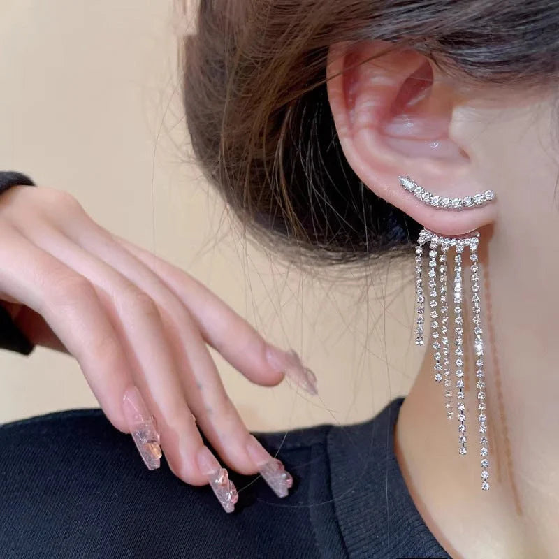 Sparkling zircon tassel earrings in sterling silver, featuring dazzling gems and flowing tassels for a bold, fashionable look.