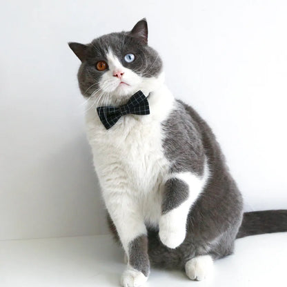 Pet hair band with bow tie in British style, 18cm elastic circumference for pets 2.50-10.00 kg