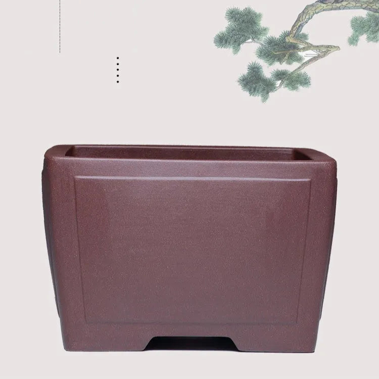 Square purple clay succulent bonsai pot with classical design on wooden table