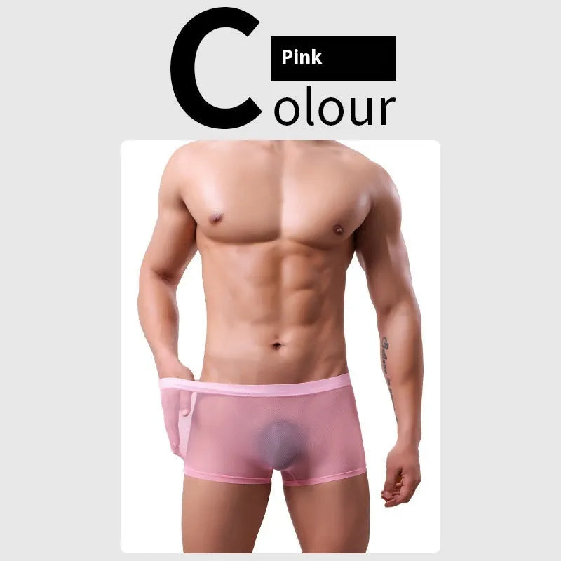 Men's thin sheer mesh boxer briefs in multiple colours on a white background.