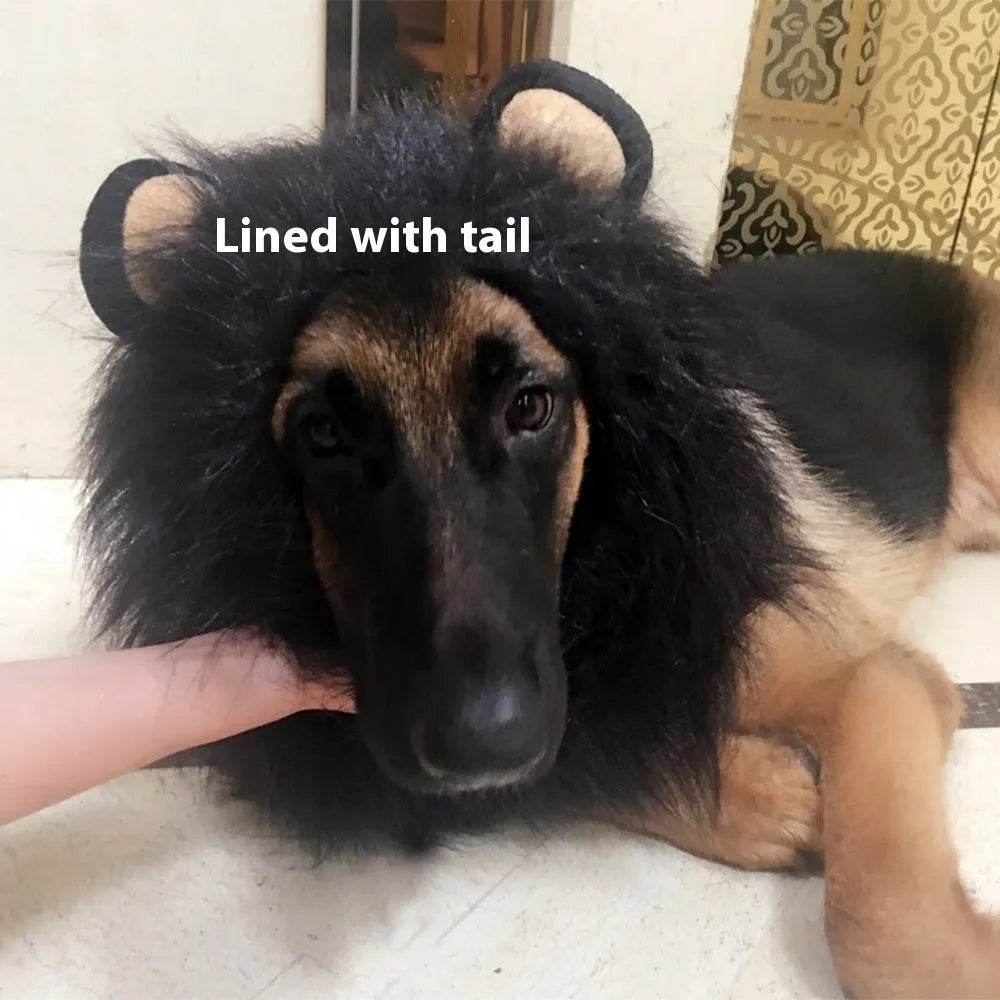 Dog wearing adjustable lion headdress costume with elastic neckband in light brown colour