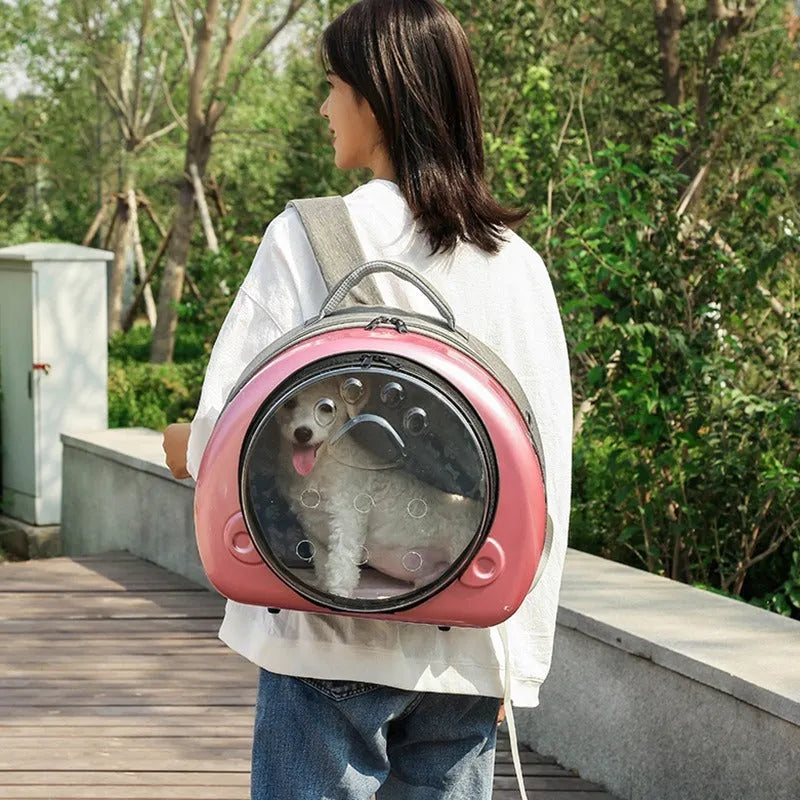 Transparent space capsule cat carrier with metallic front cover in choice of rose gold, silver, or champagne gold