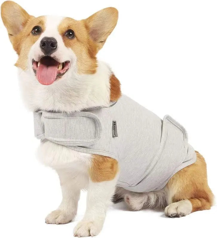 Dog wearing brocade cotton tank top for anxiety relief in brown colour