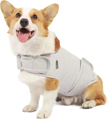 Dog wearing brocade cotton tank top for anxiety relief in brown colour