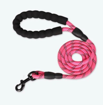Reflective nylon dog leash in multiple colors for nighttime safety