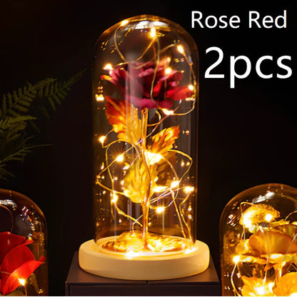 Little Prince rose arrangement under 20x9cm glass dome with gold foil flowers