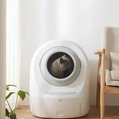 Electric smart cat litter box with WiFi connectivity in blue colour with enclosed design