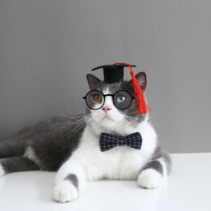 Pet hair band with bow tie in British style, 18cm elastic circumference for pets 2.50-10.00 kg