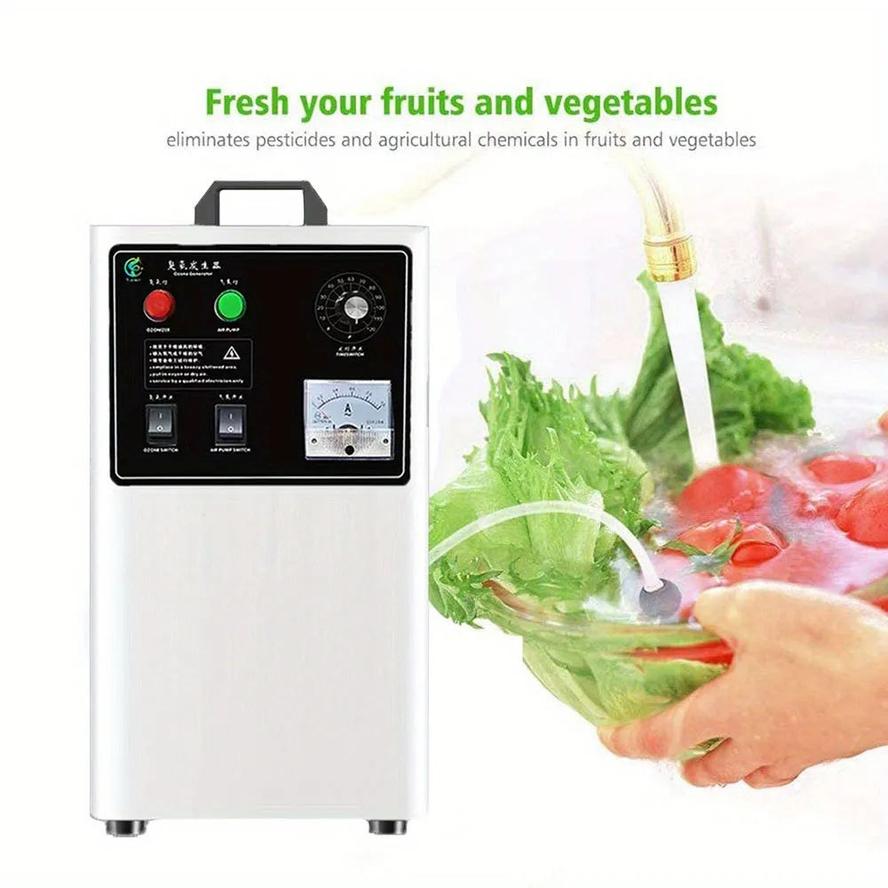 Fruit and vegetable ozone generator with stainless steel housing and 20g/h output for food sanitisation