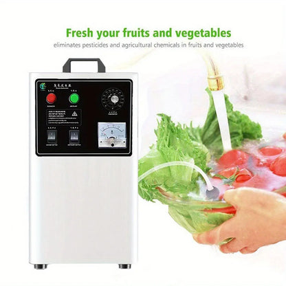 Fruit and vegetable ozone generator with stainless steel housing and 20g/h output for food sanitisation