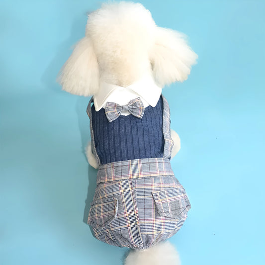 Orange and dark blue cotton dog suit shirt for small breeds in sizes S to 2XL