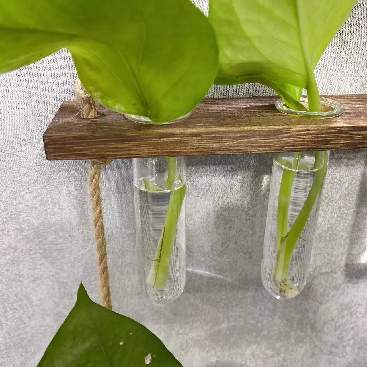 Creative Hydroponics Wall Hanging Vase with test tubes for vertical gardening