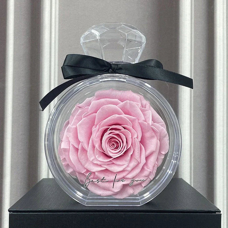 Preserved floral ornaments in various colors, displayed in a transparent cover for elegant home decor