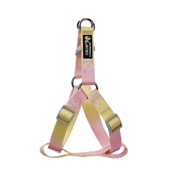 Gradient colour nylon dog leash showing pink-blue colour transition with metal attachment clip