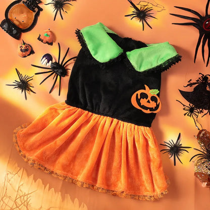 Halloween pet costume: orange pumpkin skirt and black Halloween sweater for small dogs and cats on a mannequin.