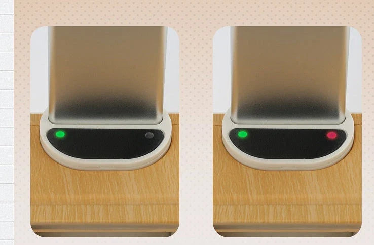 Adjustable Hydroponics Planter with Customizable Grow Lights for Indoor Garden