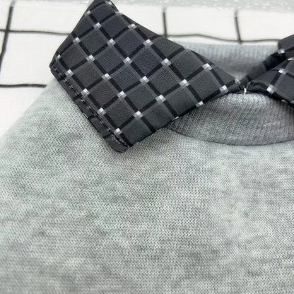 Grey dog wearing polyester velvet jumper with detachable hoodie collar