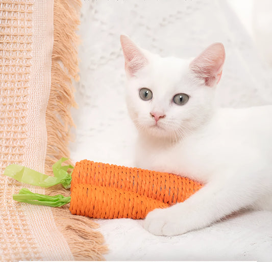 Set of interactive cat toys including carrot bites, paper toys, ringing stones, and sticks in two sizes.