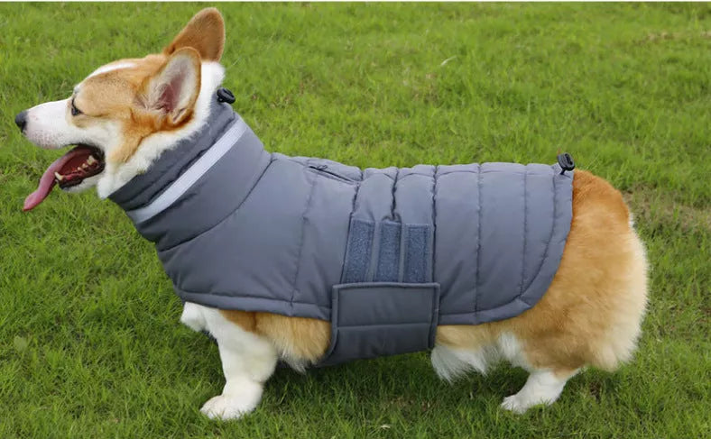 Waterproof winter dog coat in gray and pink, sizes S to XL, for medium to large dogs