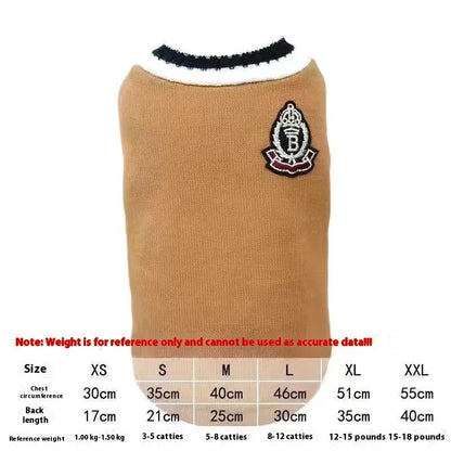 Cat wearing winter jumper with silver gradual collar in college style design