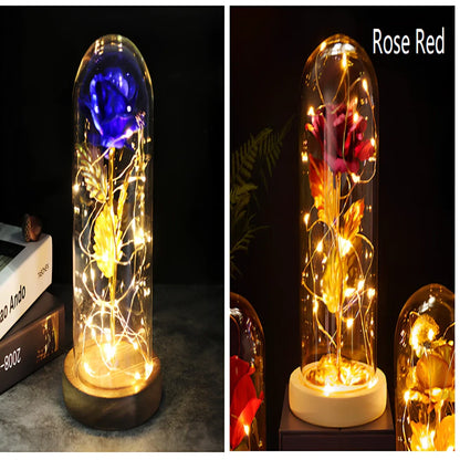 Little Prince rose arrangement under 20x9cm glass dome with gold foil flowers