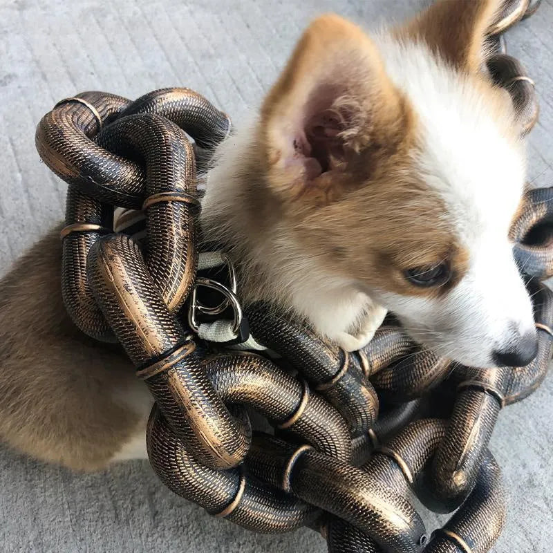 Plastic-coated iron chain dog leash in antique silver colour with D-ring connection