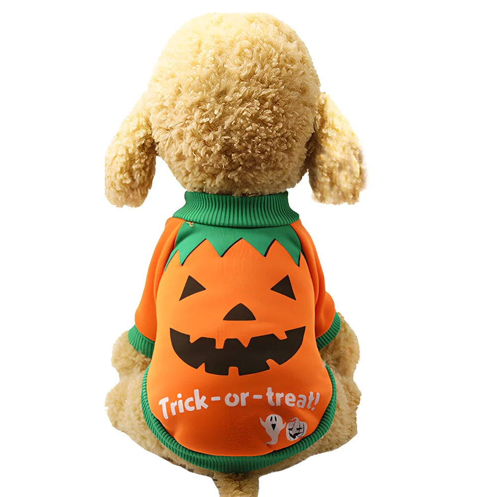 Purple and yellow Halloween pumpkin costume for cats and dogs with thermal lining and adjustable straps