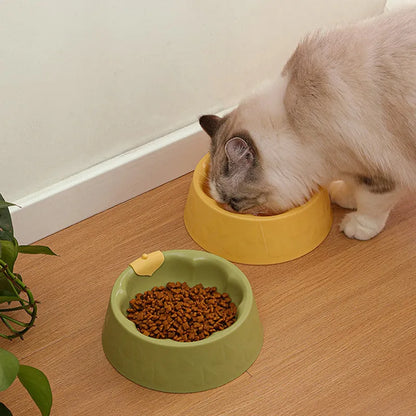 Green plastic double pet bowl with two compartments for food and water on a flat surface.