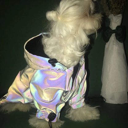 Black reflective dog hoodie with color-changing feature for nighttime visibility