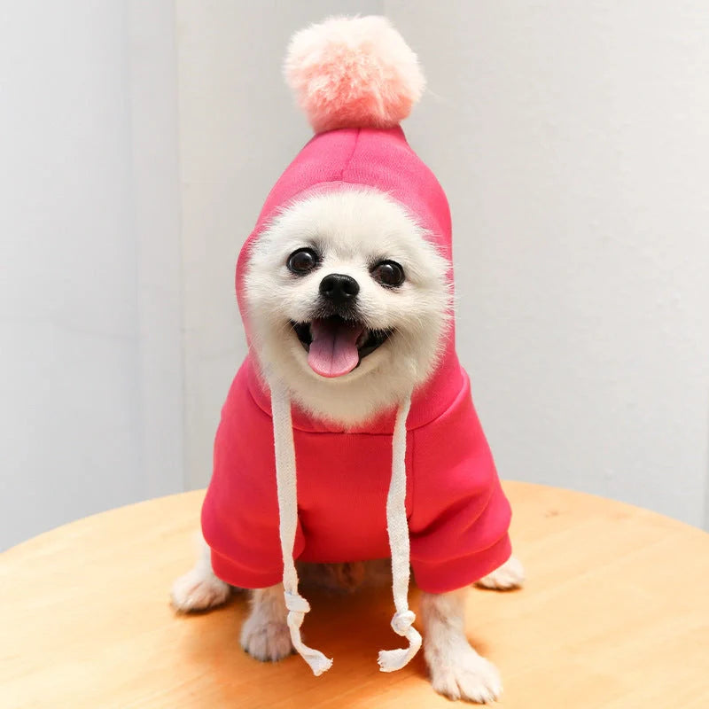 Two-legged hooded fleece dog outfits in various colors for autumn and winter wear