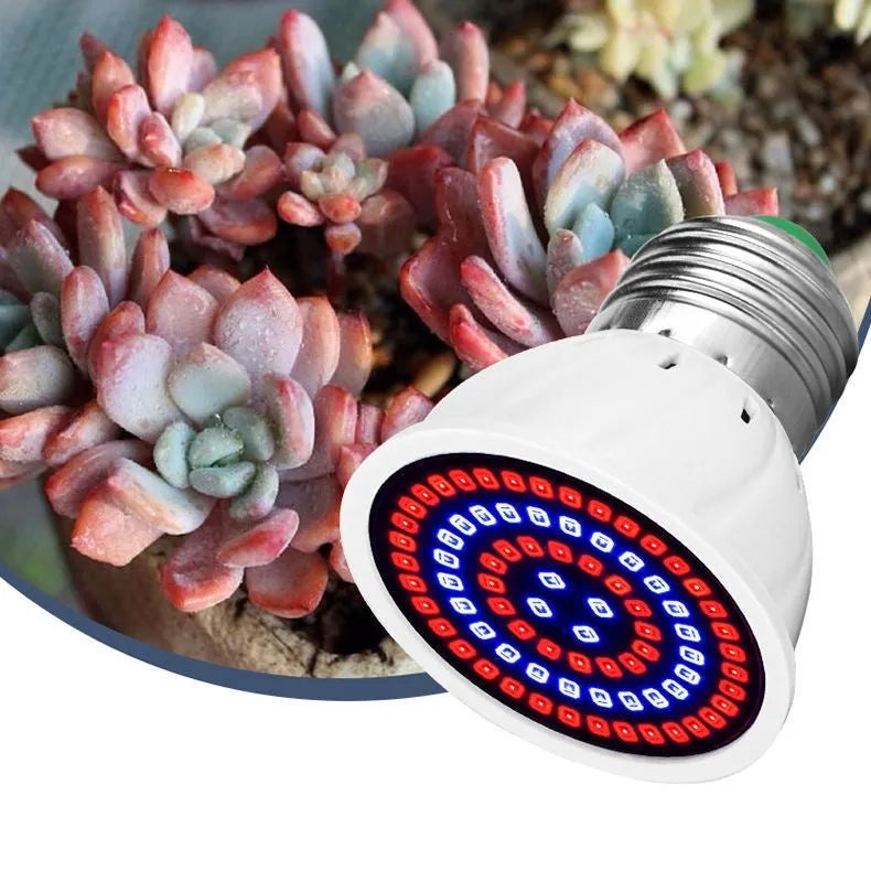 White LED plant grow light with 80 beads for indoor potted plants up to 80 square centimetres coverage